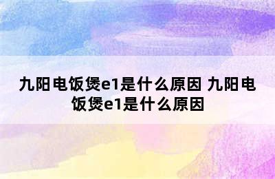 九阳电饭煲e1是什么原因 九阳电饭煲e1是什么原因